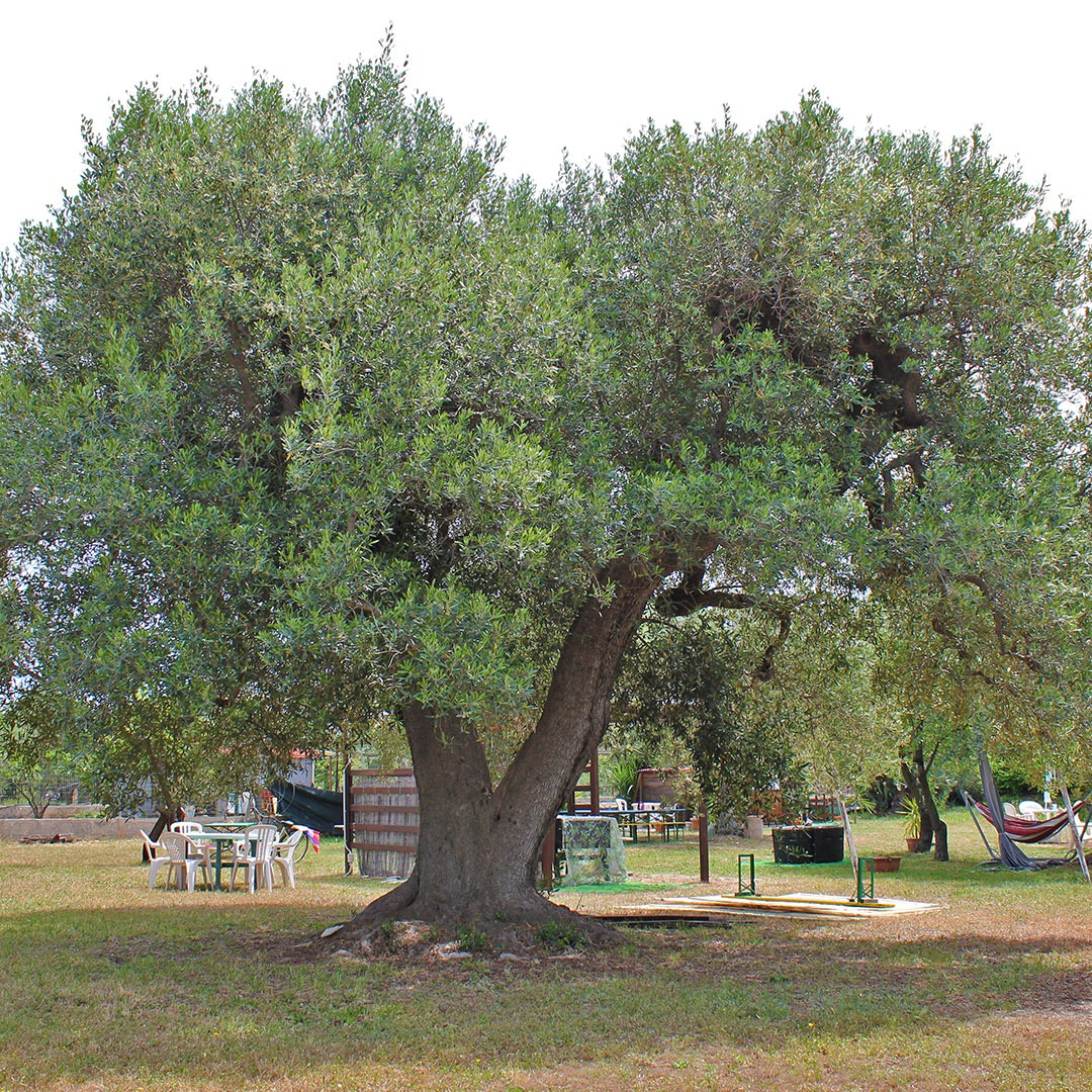 Outdoor Spaces Bed & Breakfast